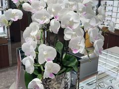 -LensCrafters亮视点·OAKLEY精选(静安嘉里中心店)