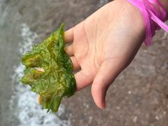 -青岛第三海水浴场