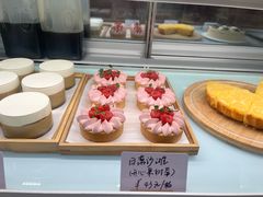 -猫里有甜