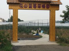 -花山蓝莓采摘园