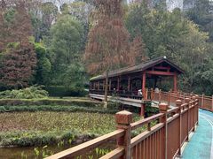 -重庆彩云湖湿地公园