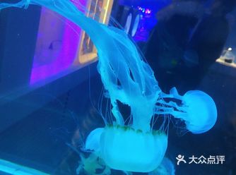 地理位置：   一个可可爱爱的店 特色推荐：