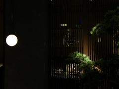-老头儿油爆虾(星光一期店)