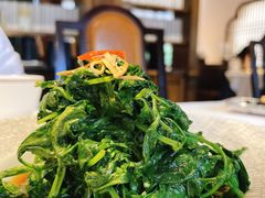 菊花脑-民国红公馆(老门东店)