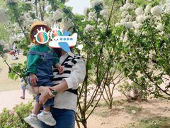 -铁山坪森林公园