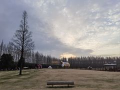 -黄海国家森林公园