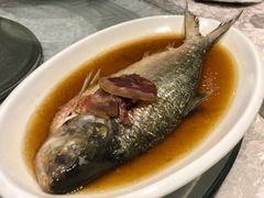 清蒸鲥鱼-走马楼饭庄(慈城古县城店)