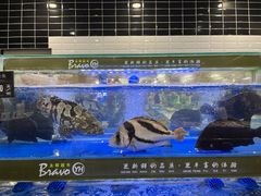 -永辉超市(鲁谷店)