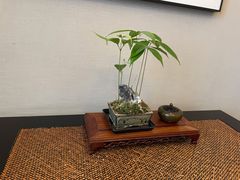 -王府茶楼茶宴·创意菜(大观园总店)