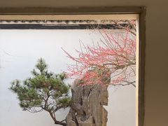 -杭州植物园