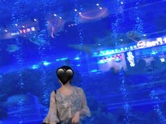 -成都浩海立方海洋公园