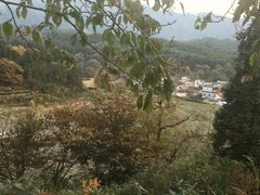 -塔川景区