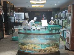-徐记海鲜(阿波罗店)