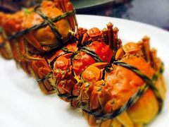 -新光酒家·河豚·海鲜·蟹料理(浦东店)