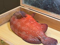 -皇朝会.经典传统粤菜(外滩店)