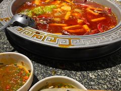 -杨肥肠火锅大排档(火车站花园店)