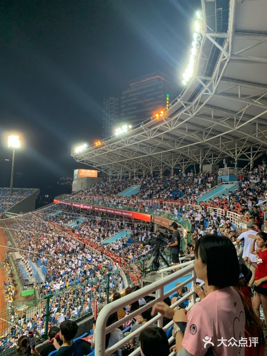 桃园国际棒球场图片