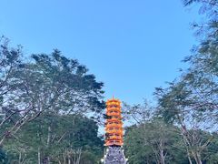-红花山公园