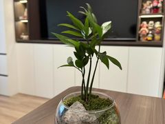 -双宝铁饭盒(南十四店)