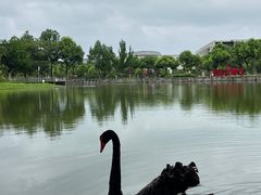 -安徽大学(磬苑校区)