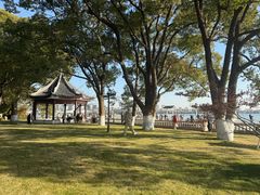 -无锡蠡湖国家湿地公园-蠡园
