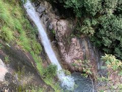 -花岩国家森林公园