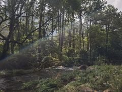 -福清灵石山国家森林公园