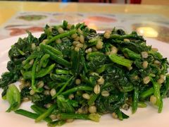美极爽口麦仁-陕西风味餐厅(陕西省驻京办店)