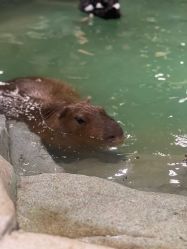 -Zoolung Zoolung动物主题公园(海信广场店)