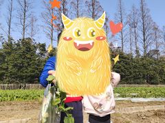 -前小桔亲子创意农场·草莓采摘·露营烧烤