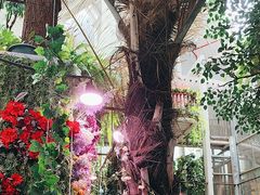 -正佳雨林生态植物园