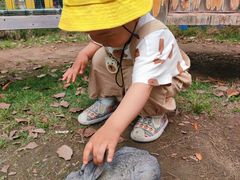 -武汉紫薇都市田园