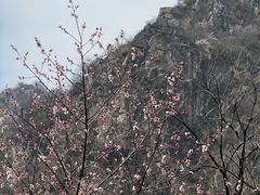 -秋沟风景区
