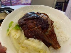 -沙田新强记烧鹅海鲜酒家