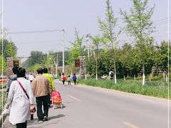-东郊湿地公园