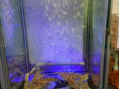 -旅南活海鲜-屏东(墾丁海鮮，海鮮餐廳，墾丁團體合菜，平價熱炒，墾丁熱炒店，活海鮮推薦，在地海鮮餐廳)