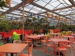 -南宫五洲植物乐园