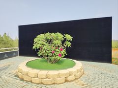 -太阳宫公园