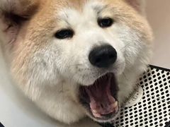 -YCHL Studios健身工作室(市二宫店)