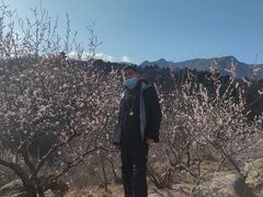 -白水寺森林公园