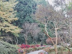 -庐山风景区花径公园