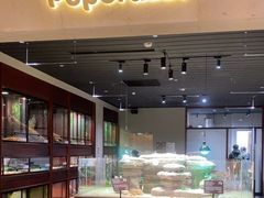 -帕帕拉兹宠物(亚洲旗舰店)