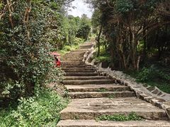 -大姆山草场