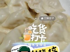-一轩饺子馆(丽都店)