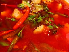 -陈麻婆豆腐(旗舰店)