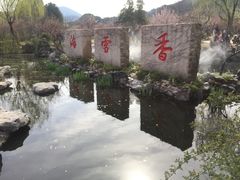 -香雪海