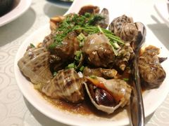 -味到1981日照海鲜·渔饺子