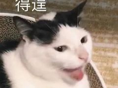 -芭比堂宠物医院·全科爱猫医院·仁德分院