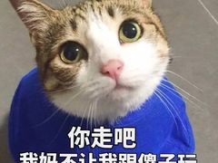 -莉蓮蛋挞(静安寺店)