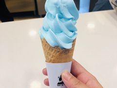 海盐甜筒-华言豆腐鲜奶茶(杨家坪店)